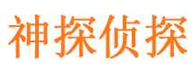 和林格尔侦探公司